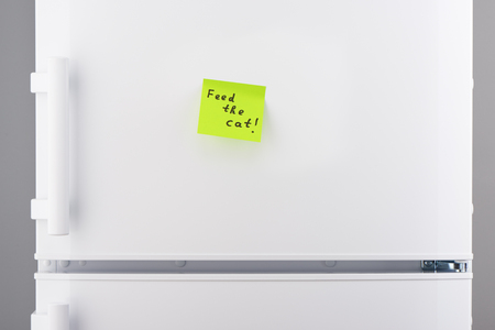 Feed the cat note on green sticky paper on white refrigerator doorの写真素材