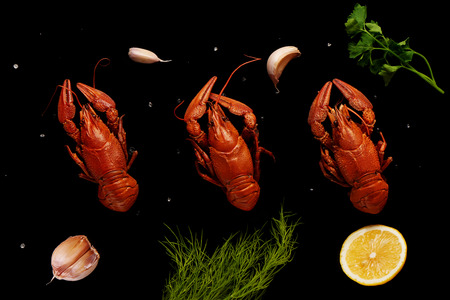 Three boiled crayfishes with sea salt, garlic, lemon, parsley and dill isolated on black backgroundの写真素材