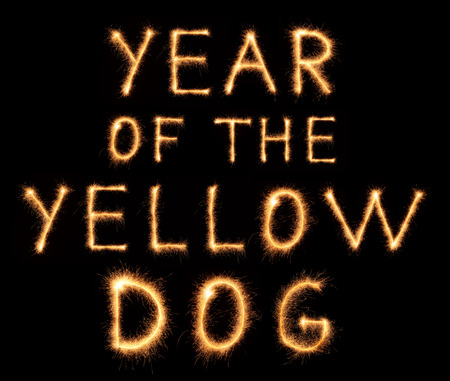 YEAR OF THE YELLOW DOG lettering drawn with bengali sparkles isolated on black backgroundの写真素材