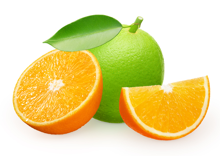 Whole fresh lime fruit with green leaf next to half and slice of orange isolated on white backgroundの写真素材