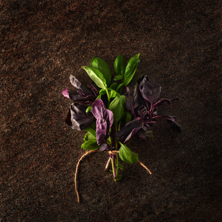 Beautiful bouquet of green and violet basil on dark grey concrete backgroundの写真素材