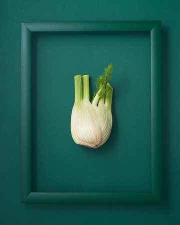 Fennel in wooden picture frame on green backgroundの写真素材