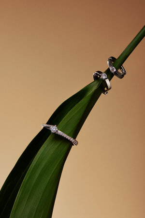 Artistic photography of luxury rings with natural diamonds on green plant and beige background. Love and wedding concept.の写真素材