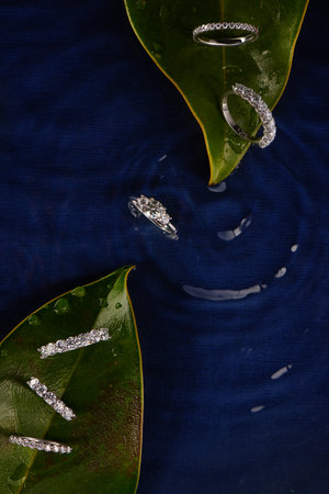 Artistic photography of luxury rings with natural diamonds on green leaves and water background. Love and wedding concept.の写真素材