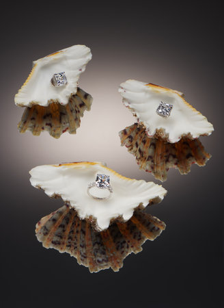 Artistic photography of luxury ring and earrings with natural diamonds in seashells with reflection. Love and wedding concept.の写真素材