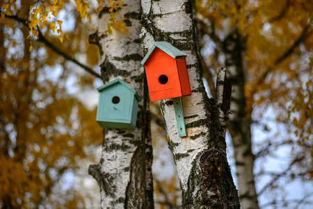 Green bird house nesting-box hang on old birch tree trunk and branches move in windの写真素材
