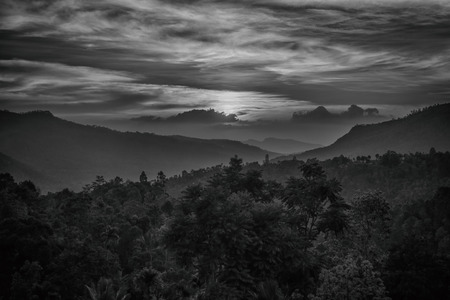 Sunset and foggy mountain valley landscapeの写真素材