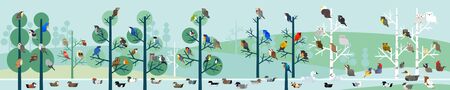 birds forest vector illustration,horizonal landscape