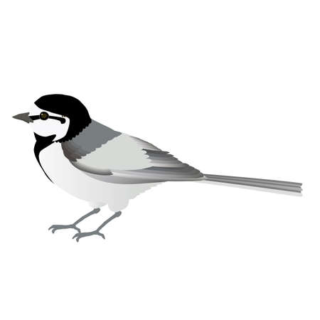 Cute vector illustration of the familiar wild bird Hasekrei flappingのイラスト素材