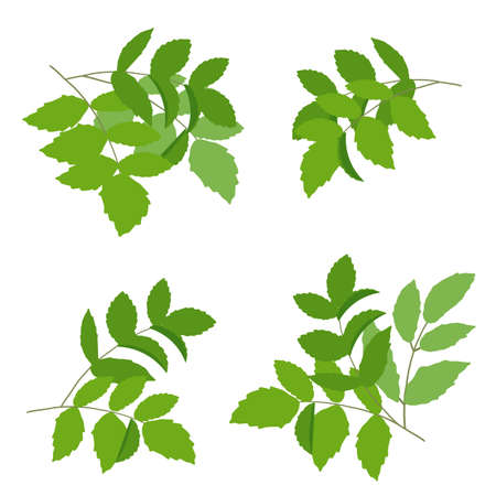 Simple fresh green vector illustration partsのイラスト素材