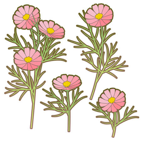 Art Nouveau cosmos vector illustrationのイラスト素材