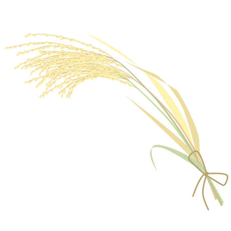 I'm using a new rice Oisu vector illustrationのイラスト素材