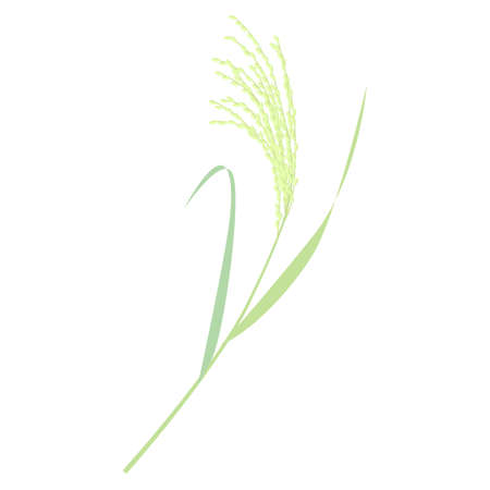 I'm using a new rice Oisu vector illustrationのイラスト素材