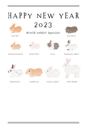 2023 Year of the Rabbit New Year's card with a soft impression with a loose rabbit and an organic backgroundのイラスト素材