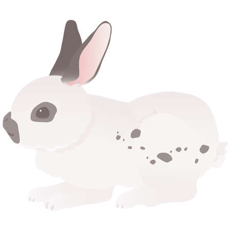 Simple square frame vector illustration with splashes and sandy dotsのイラスト素材