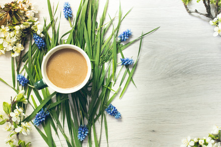 Subject photography of coffee, against a background of different colors