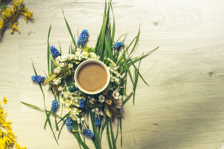 Subject photography of coffee, against a background of different colorsの写真素材