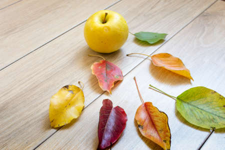 Breakfast, on the background of light oak boards, with elements of autumn decorの写真素材