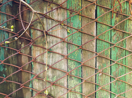 vintage boards and mesh, with woven plantsの写真素材