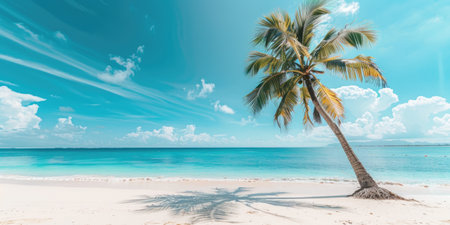 Tropical beach with palm trees and blue sky, panoramaの素材