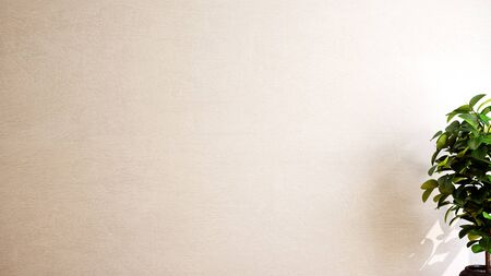 large luxury modern bright interiors Living room mockup illustration 3D rendering computer digitally generated imageの写真素材