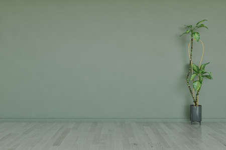 Illustration 3D rendering large luxury modern bright interiors Living room mockup computer digitally generated imageの写真素材