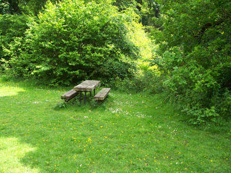 Park Benchの写真素材