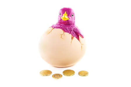 Chicken Piggy bank