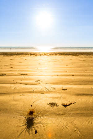 Myanmar beachの写真素材