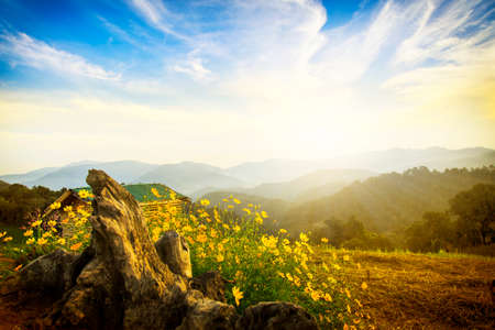 Moncham Chiangmai Thailandの写真素材