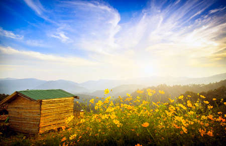 Moncham Chiangmai Thailandの写真素材