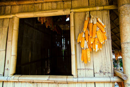 Corn at cottageの写真素材