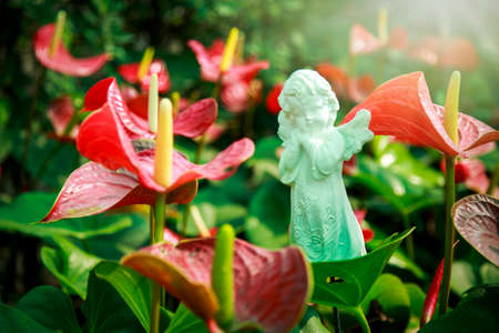Beautiful spadix flower and statue in the gardenの写真素材