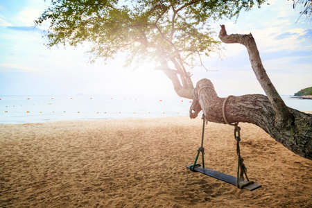 Swings at tree on the beachの写真素材