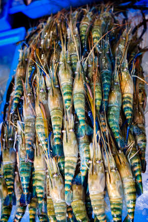Fresh prawns on ice in seafood marketの写真素材