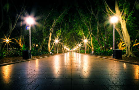 Night time in the parkの写真素材