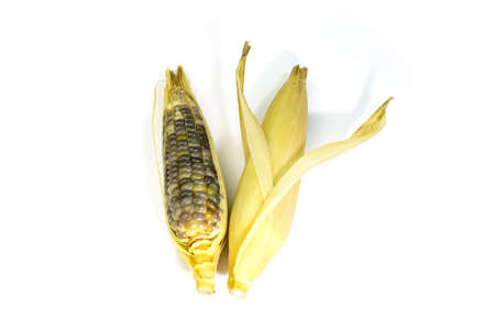 Waxy corn isolated on white backgroundの写真素材