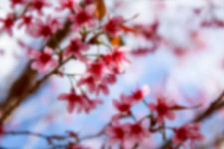 background with blue skyの写真素材