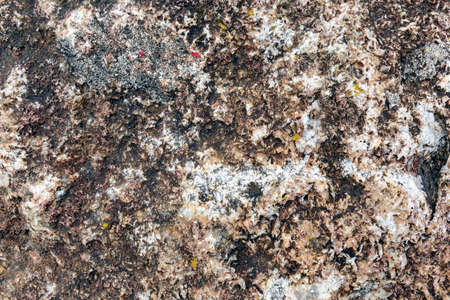 Stone texture backgroundの写真素材