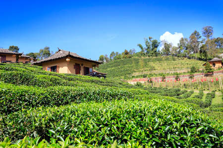 Rak Thai Village a Chinese settlement, Mae Hong Son Thailandのeditorial素材