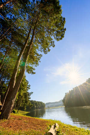 Sunrise at Pang-ung, pine forest park , Mae Hong Son, North of Thailandの写真素材