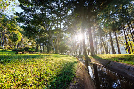 Sunrise at Pang-ung, pine forest park , Mae Hong Son, North of Thailandの写真素材