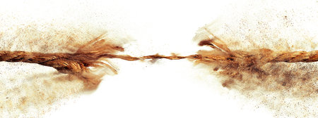 3d illustration of a fuse that catches fireの写真素材