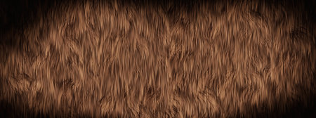 Fur texture background. Brown fur background. 3d rendering.の写真素材