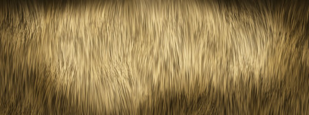 Fur texture. Brown animal fur background. 3d illustration.の写真素材