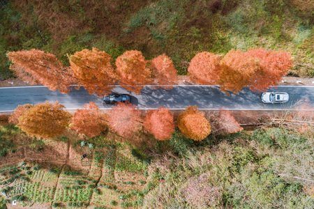 Mountain path landscape scenery viewの写真素材