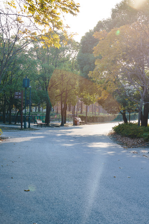 Park Laneの写真素材