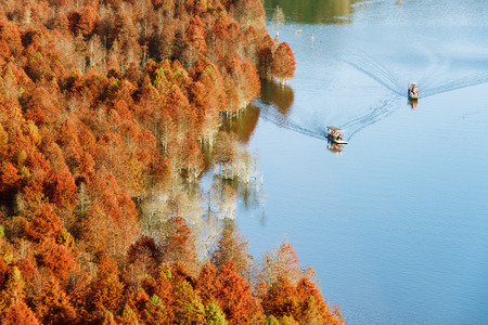 Cruise ship in a river landscape view during autumn