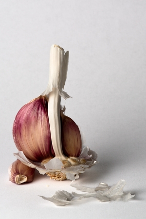 Garlic bodegonの写真素材
