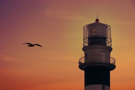 Bolderaja (Riga, Latvia) Lighthouse in sunset and flying Seagullの写真素材